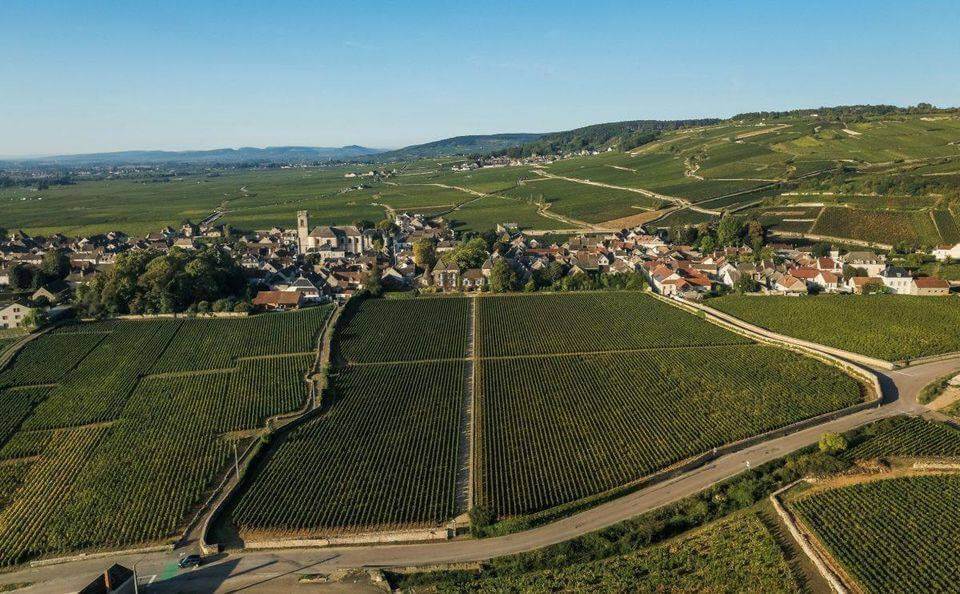 bourgogne-discovery-decouverte-des-vignes-de-bourgogne-france