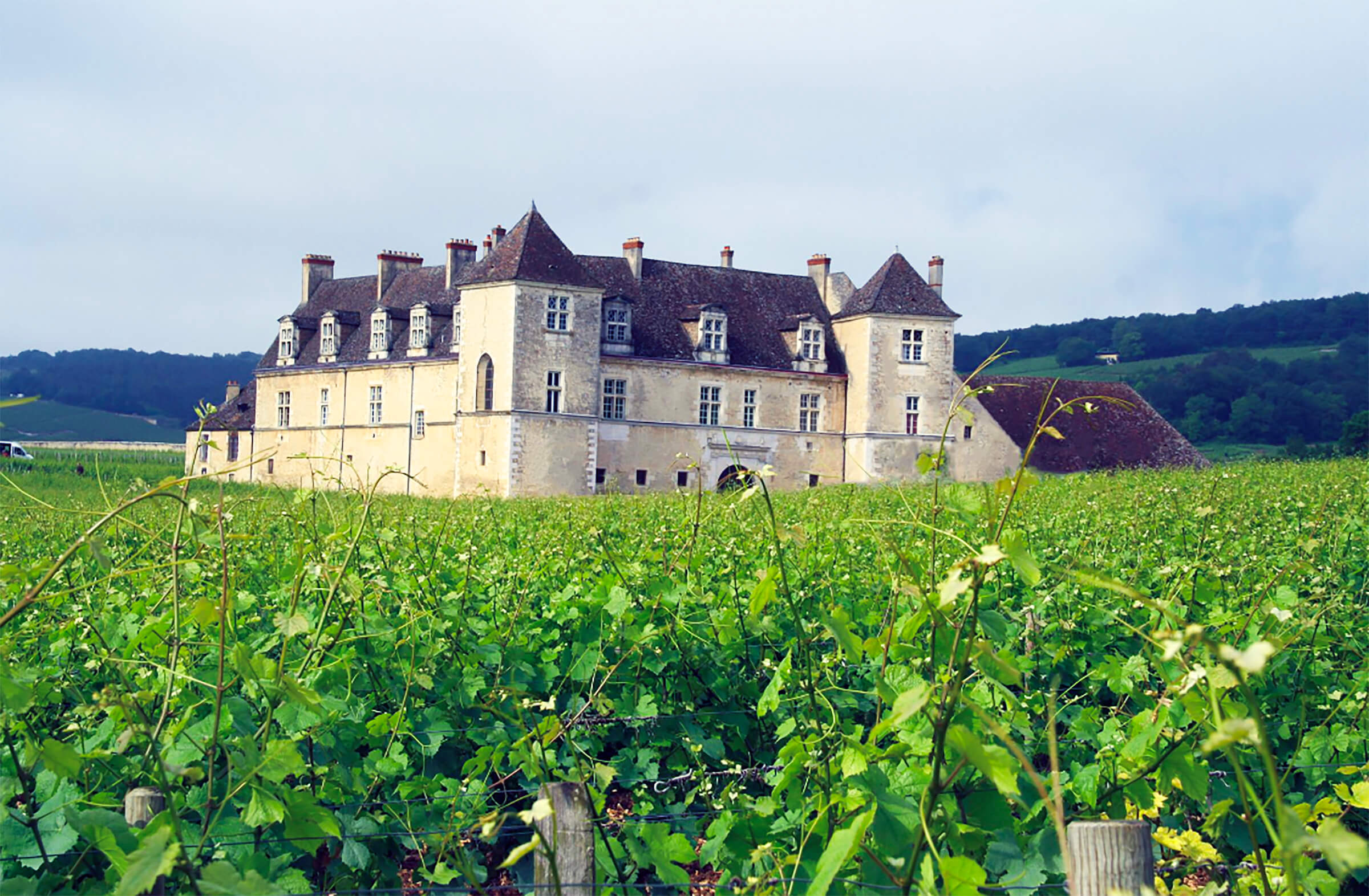 bourgogne-discovery-transport-prive-de-personne-liaison-aeroport-hotel-visite-domaine-bourgogne-france-franche-comte-avion-jet-prive-aeroport-dijon-tavaux-chateau-clos-vougeot bourgogne-discovery-transport-prive-de-personne-liaison-aeroport-hotel-visite-domaine-bourgogne-france-franche-comte-avion-jet-prive-aeroport-dijon-tavaux-chateau-clos-vougeot